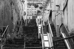 DSC_4517