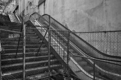 DSC_5089