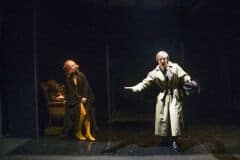L'armonia perduta-Fiori giapponesi-Teatro Stabile Napoli_5