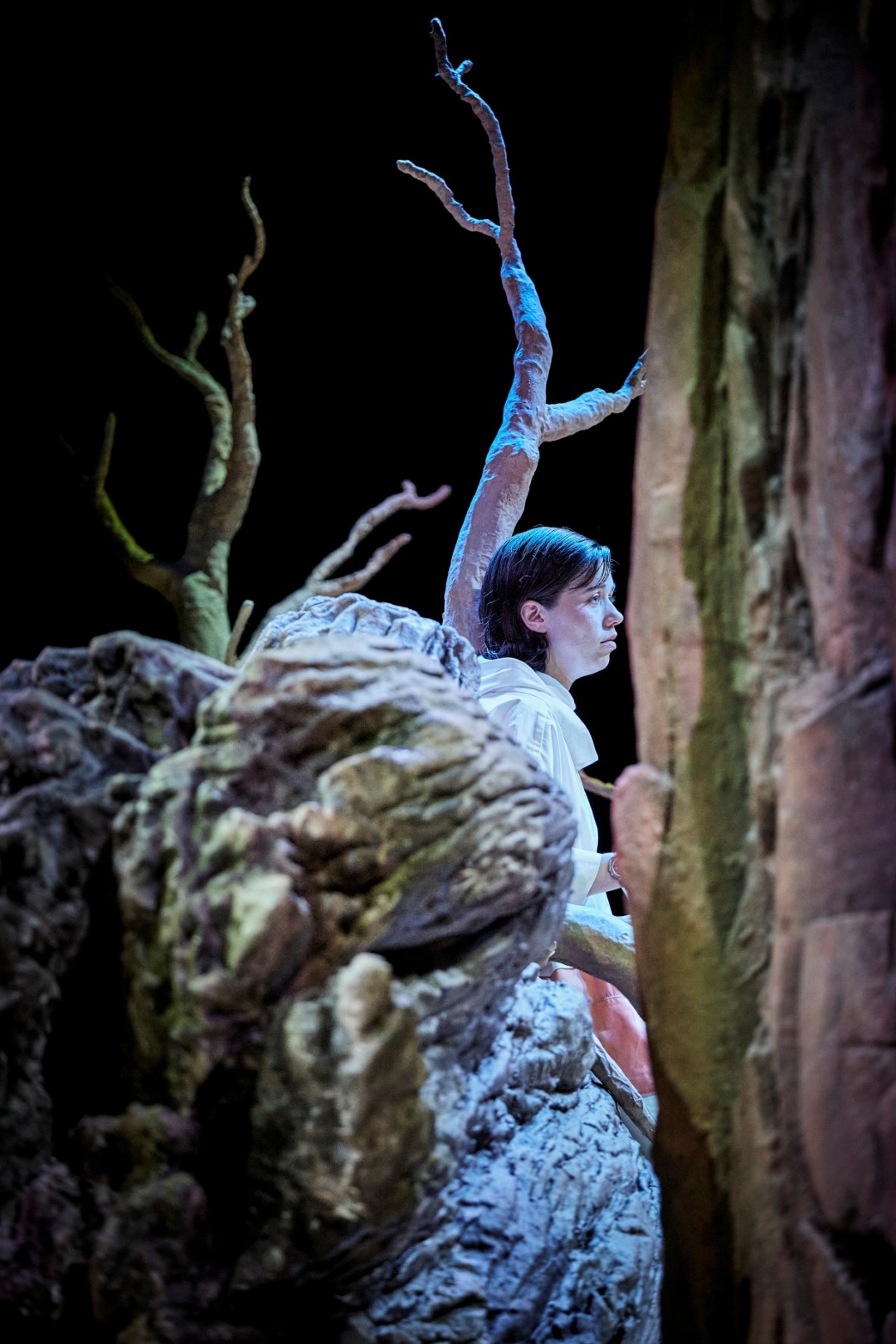 352903_684c3e9f579e4 (Web)